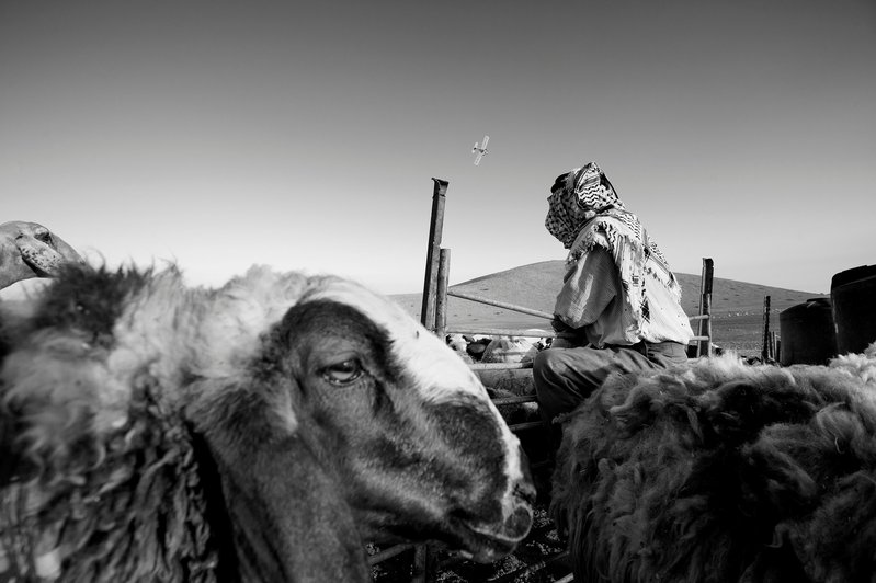 5975c2a1-6b4d-436a-bbb8-6f7f41e10c65