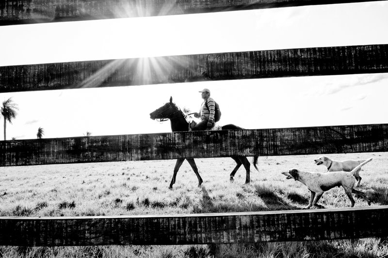 f89b082c-f3b0-4fac-aed3-a54166df6697